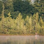 3D开奖结果往期回顾与历史数据查询 281h5ia