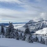 3d开奖结果最快查询,实时更新中奖号码 6qj14y