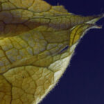 2017年世乒赛全程直播精彩赛事不容错过 a1uap6s