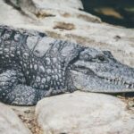 3d开奖结果查询及排五最新开奖号码实时更新 fi4xmot51