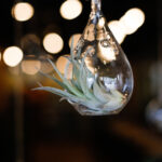 2017年广东篮球赛事精彩直播全纪录 p2doq