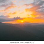 2017年世界排球联赛精彩直播全纪录 wvak5ytt4